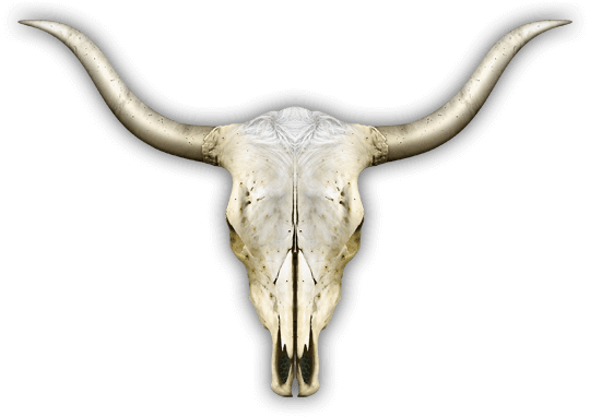 cow-skull-divider